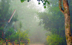 The Ciscilia Heritage Nelliampathy, Kerala, India