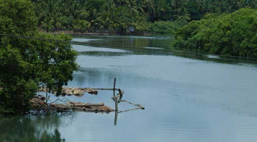 kozhikode-backwater