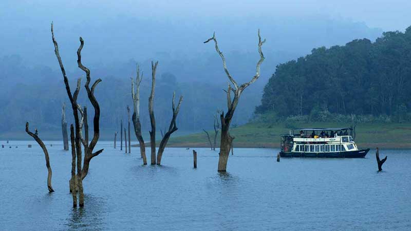 thekkady1