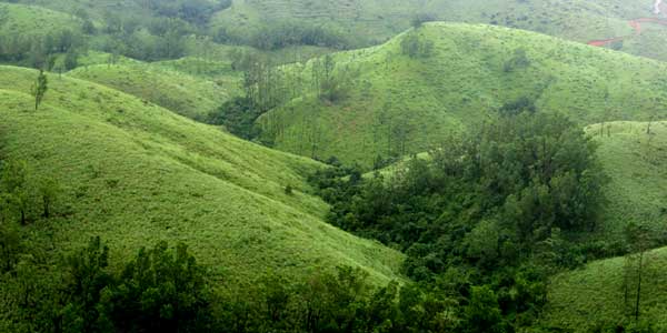 vagamon