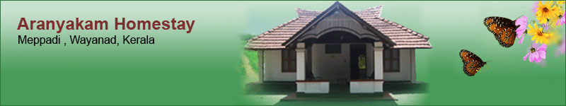 Aranyakam Homestay title
