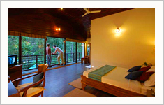The Carmelia Haven, Thekkady, Idukki, Kerala, India 