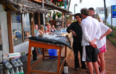 clafouti-beach-resort-varkala-kerala-india