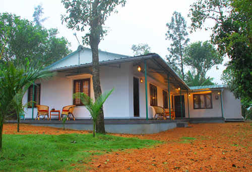 Bamboo Nest Plantation Resort photo 1