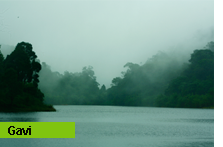 Kumarakom-bird Sanctuary