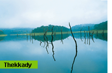 Kumarakom-bird Sanctuary