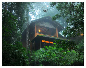 Vythiri Resort Wayanad, Kerala India